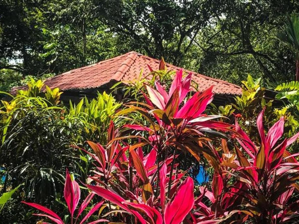 Casa Colores Montezuma Ngoại thất bức ảnh