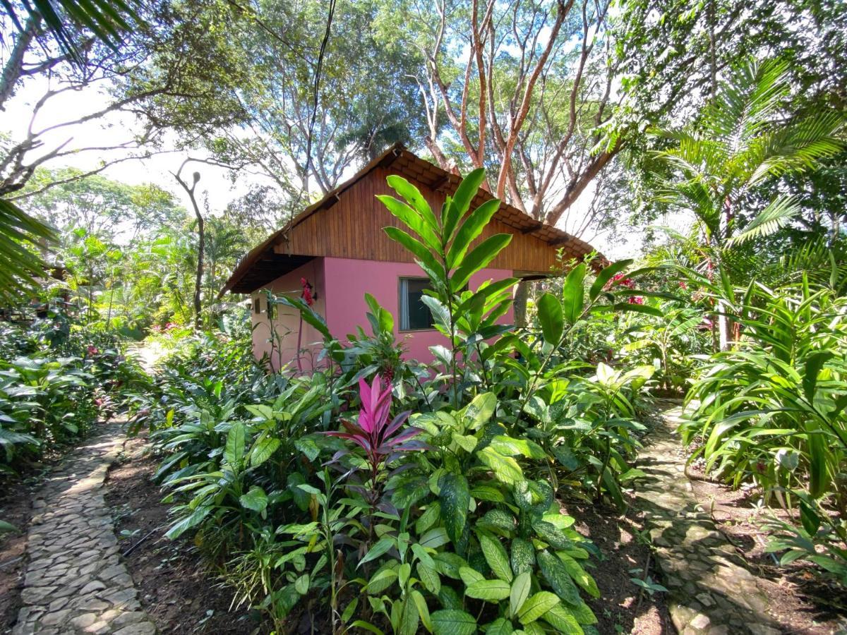 Casa Colores Montezuma Ngoại thất bức ảnh