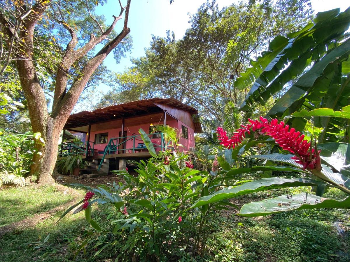 Casa Colores Montezuma Ngoại thất bức ảnh