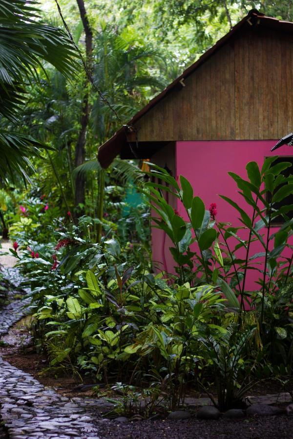 Casa Colores Montezuma Ngoại thất bức ảnh