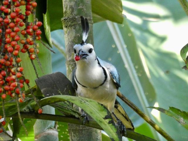 Casa Colores Montezuma Ngoại thất bức ảnh