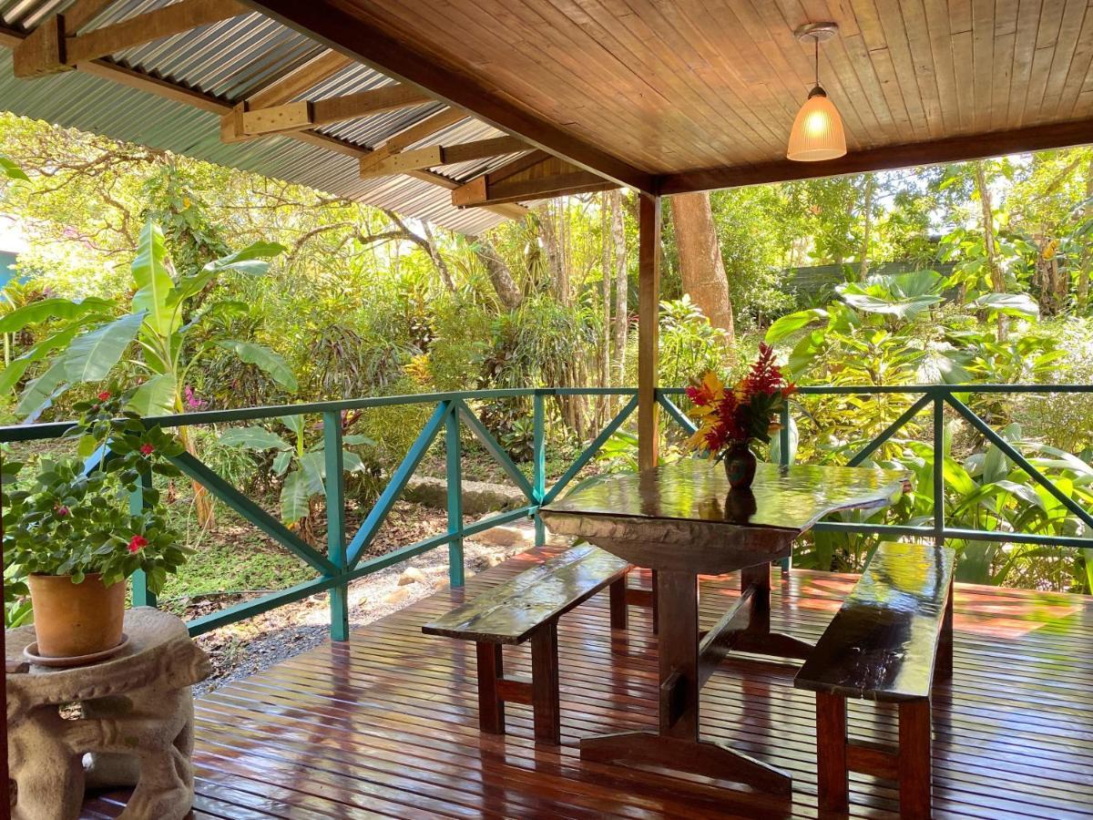 Casa Colores Montezuma Ngoại thất bức ảnh